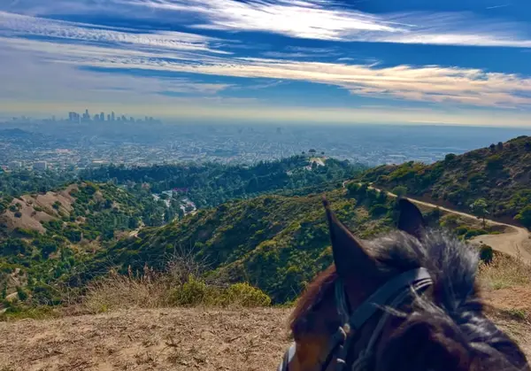 Maneva Horse Riding Los Angeles, photo 1