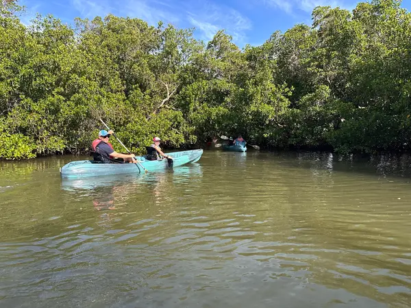 Mangrove Tunnels Kayak Tours, photo 1