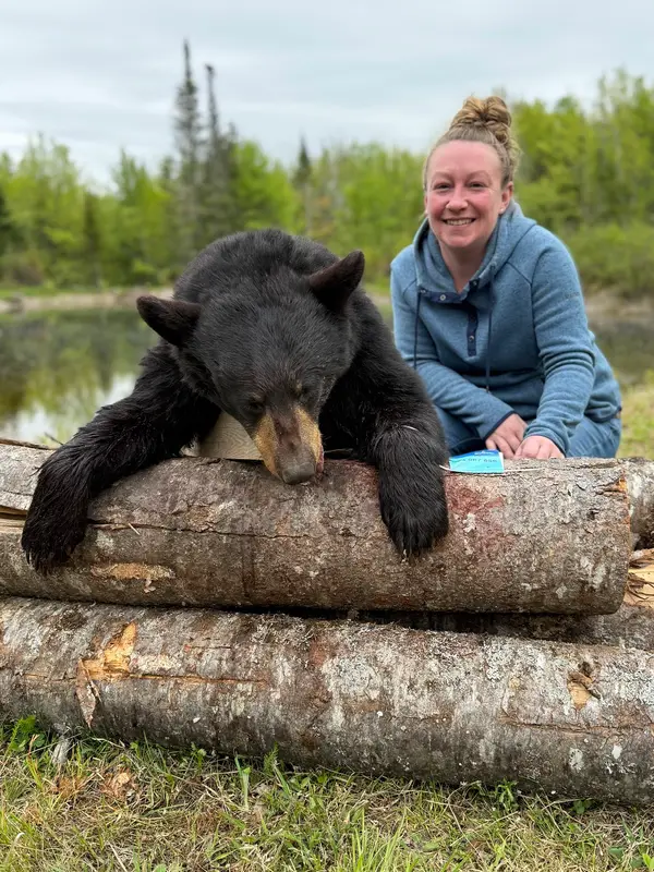 Maple Bear Outfitter, photo 4
