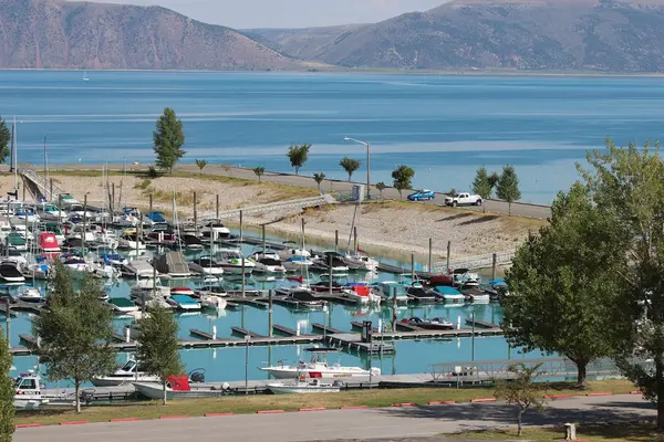 Marina Rentals