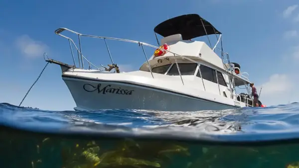 Marissa Charters - San Diego Scuba Diving Charter Boat and Bay Cruises