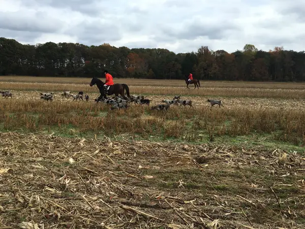 Marlborough Hunt Club