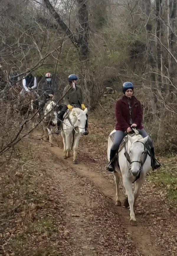 Marriott Ranch Trail Rides
