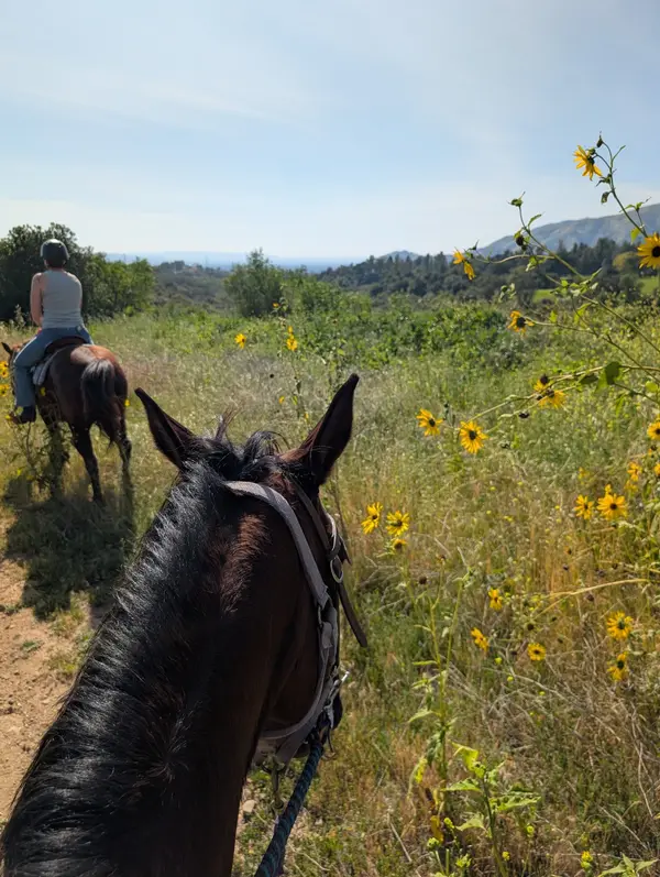 Marshall Canyon Equestrian Center, photo 3
