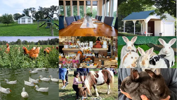 Mary's Land Farm