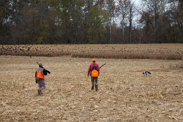 Mason Branch Hunting Preserve