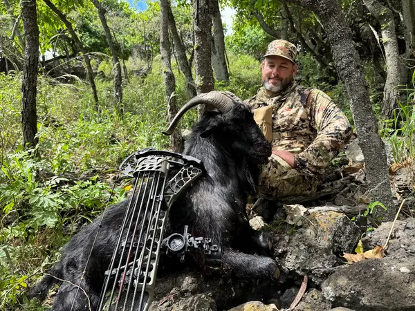 Maui Hunting Safari