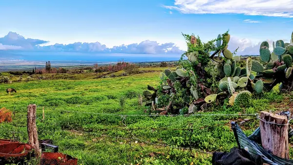 Maui Ohana Outfitters LLC