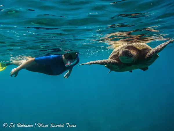 Maui Snorkel Tours, Kihei, HI