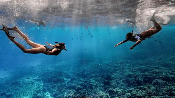 Maui Snorkeling, Wailuku, HI