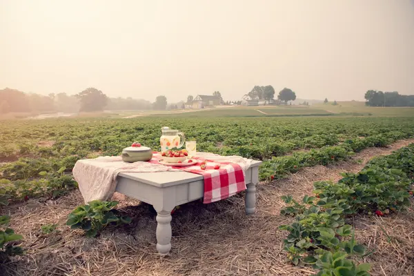 Mayberry Farms, Mayville, WI