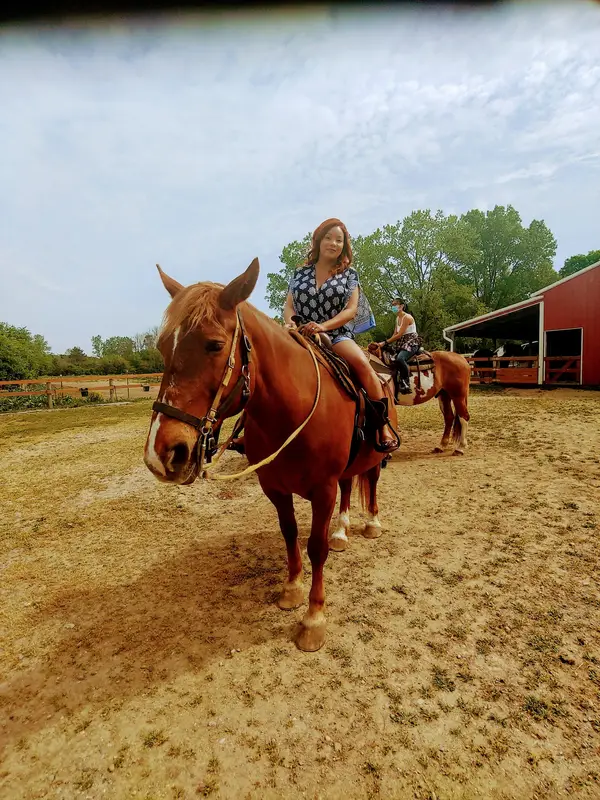 Maybury Riding Stable