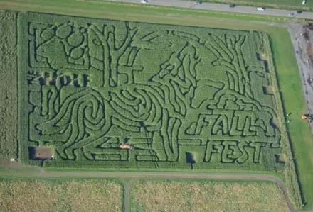 MazePlay, Firth, ID