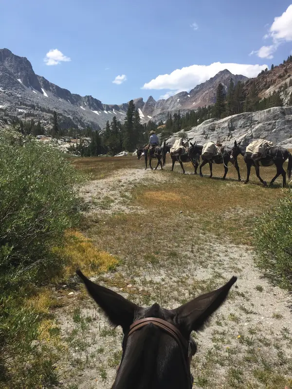 McGee Creek Pack Station