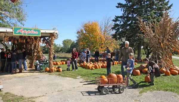 McGlasson Farms, Hebron, KY