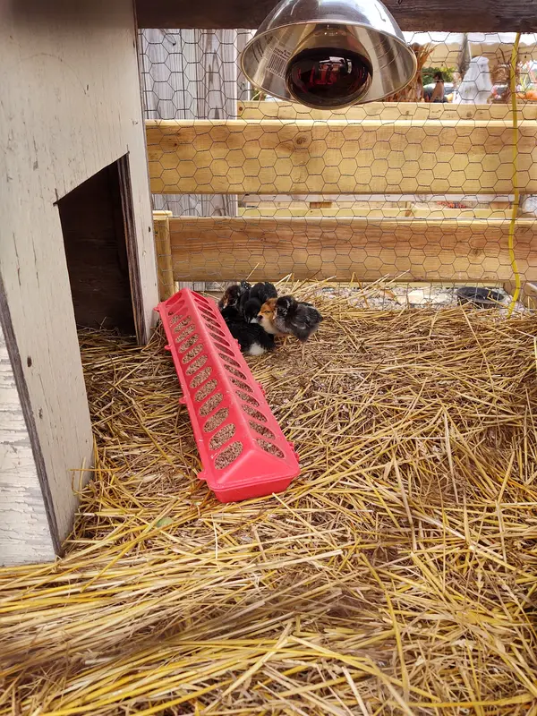 McMonigle Farms, Middletown, OH