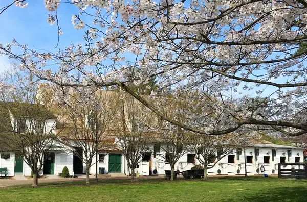 Meadowbrook Stables