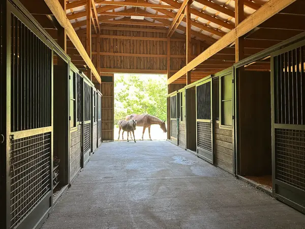 Meadowbrook Stables