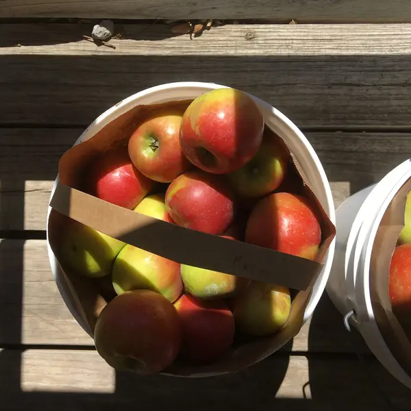 Meadowlark Farm Orchard & Cidery, Rose Hill, KS