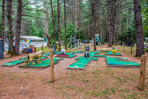 Medcalf Acres Riverfront Campground - Camping in the Adirondacks
