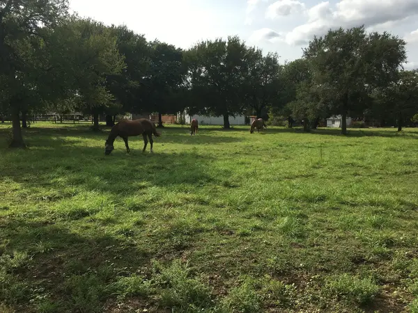 Melody Acres Stable, photo 2