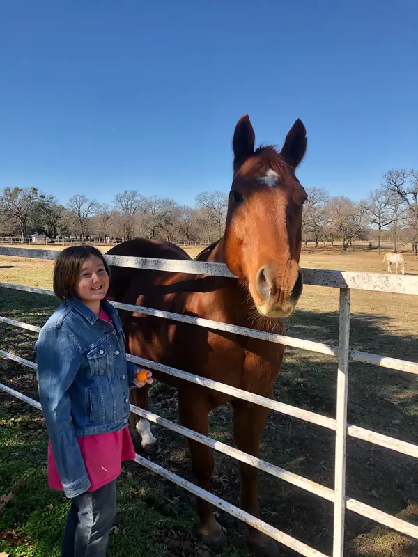 Melody Acres Stable, photo 3