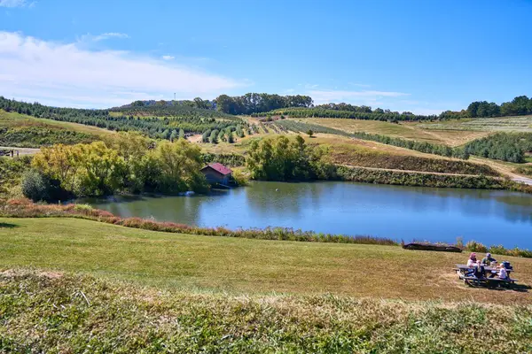 Mercier Orchards, Blue Ridge, GA