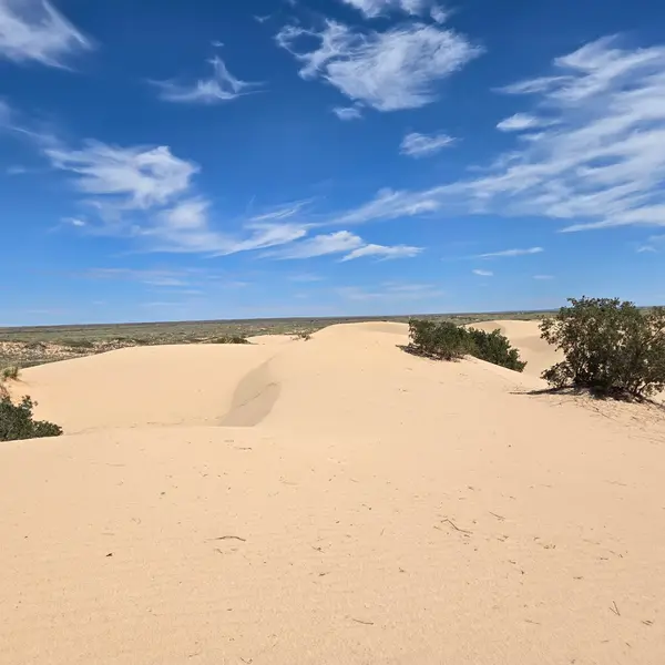 Mescalero Sands North Dune OHV Area