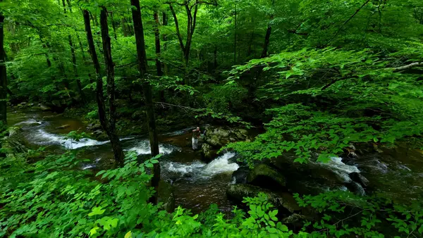 Middle River Outfitters