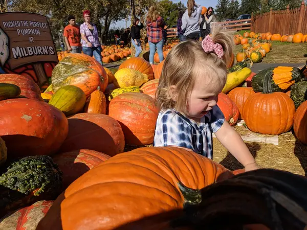 Milburn Orchards