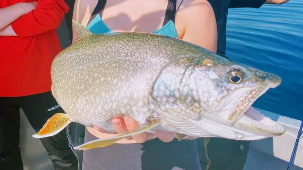 Mile High Fishing Charters, South Lake Tahoe, CA