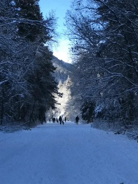 Mill creek nordic area