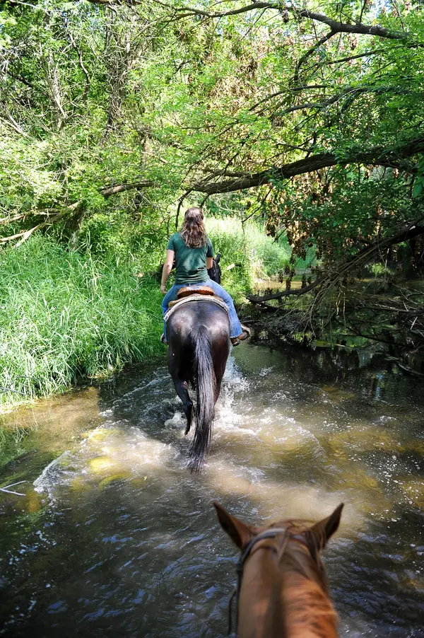 Millbrook Trail Rides - Rides by appointment only