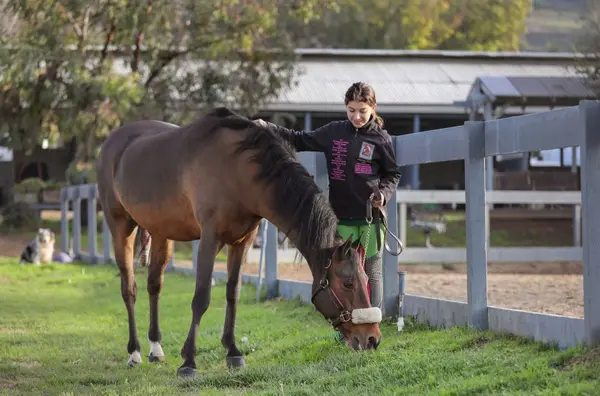 Miller Equestrian Services, photo 4