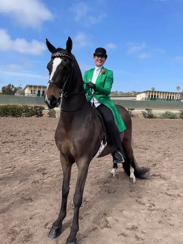Miller Equestrian Services, photo 3