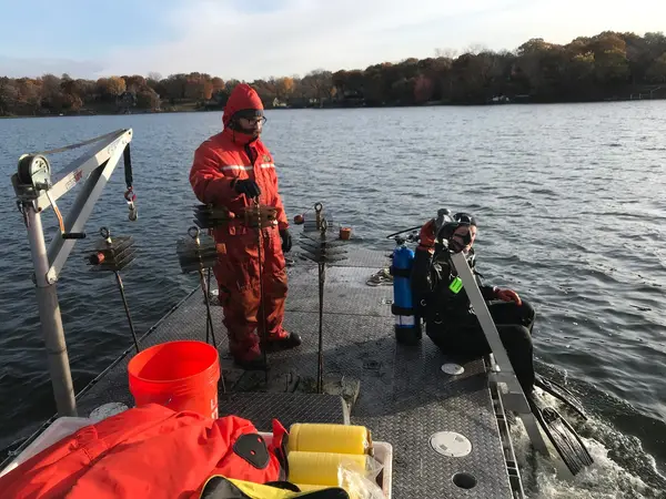 Minnesota Divers LLC