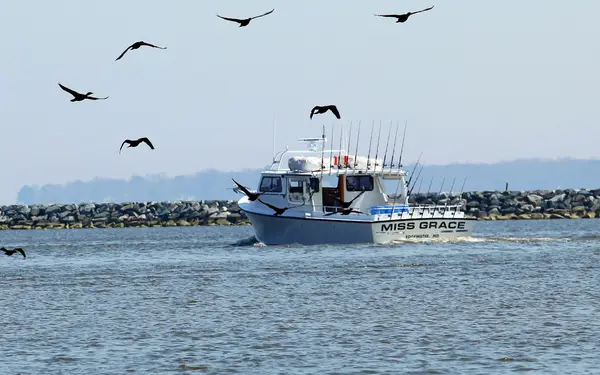 Miss Grace Charters