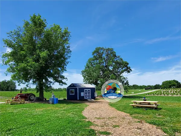 Missouri Berries, Republic, MO