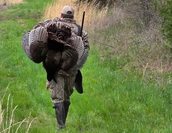 MISSOURI OUTFITTERS MCCO