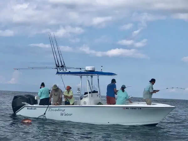Mobile Bay Adventures (Mobile Bay Charters, Cruises & Guides), Spanish Fort, AL