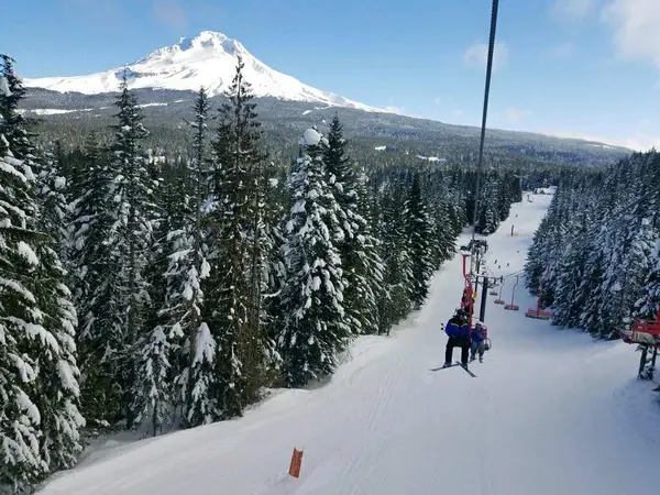 Mogul Busters Ski School