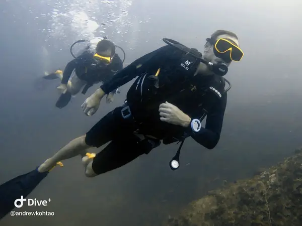Mojo Diver