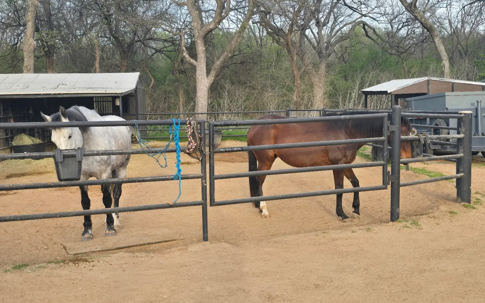 Monarch Equine Boarding Stables