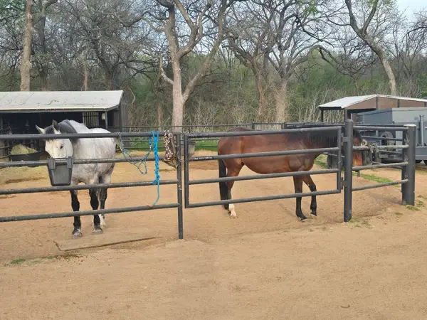 Monarch Equine Boarding Stables