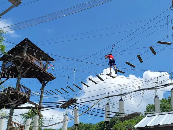 Monkey Business Adventure Park