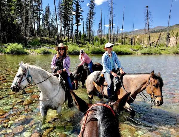 Montana Horse Works