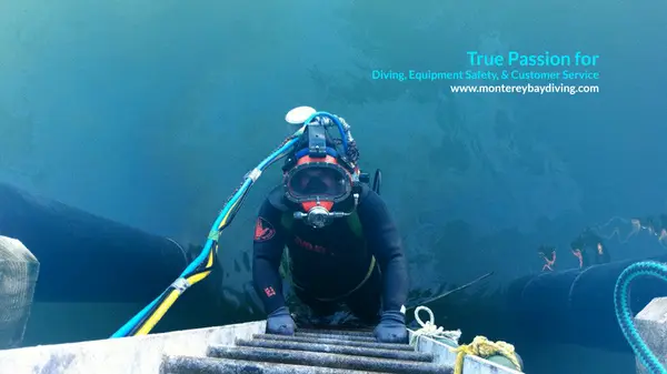 Monterey Bay Diving