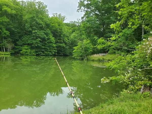 Moonlite Hunting & Fishing