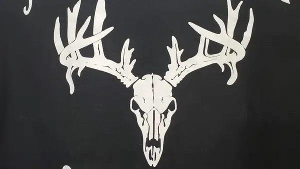 Moonshine Ranch Outfitters