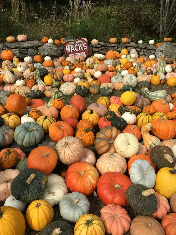 Moose Hill Orchard